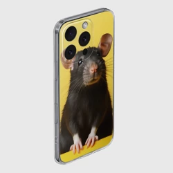 Чехол для iPhone 16 Pro Max силиконовый с защитой камеры Крыса черная  - фото 2