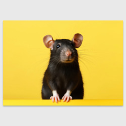 Поздравительная открытка Крыса черная 