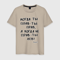 Афуфь - Когда ты прав – Мужская футболка хлопок с принтом купить со скидкой в -20%