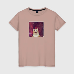 Рыжий кот в космосе мем – Женская футболка хлопок с принтом купить со скидкой в -20%
