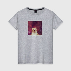 Рыжий кот в космосе мем – Женская футболка хлопок с принтом купить со скидкой в -20%