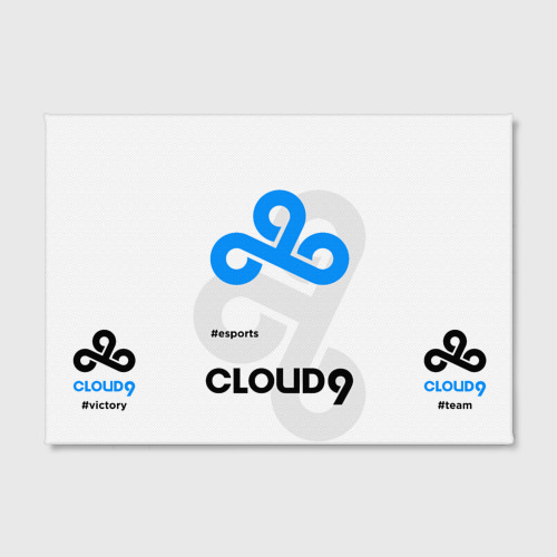 Холст прямоугольный Cloud9 - esports white, цвет 3D печать - фото 2