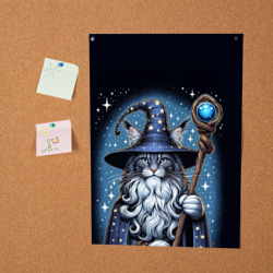 Постер  Кот Мейн Кун в образе волшебника - фото 2