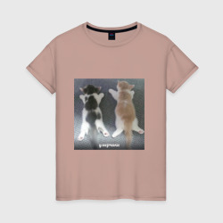 Мемные коты умерчики – Женская футболка хлопок с принтом купить со скидкой в -20%