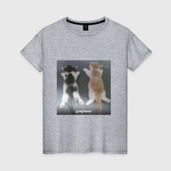 Мемные коты умерчики – Женская футболка хлопок с принтом купить со скидкой в -20%