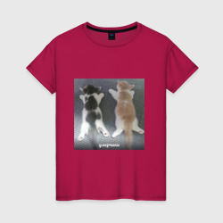 Мемные коты умерчики – Женская футболка хлопок с принтом купить