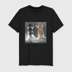 Мужская футболка хлопок Slim Мемные коты умерчики