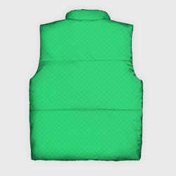 Жилет с принтом Яркий зелёный текстурированный в мелкий квадрат для мужчины, вид сзади №1. Цвет основы: черный