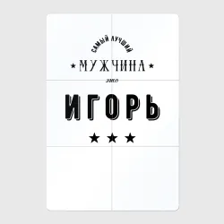 Магнитный плакат 2Х3 Самый лучший мужчина Игорь