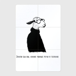 Магнитный плакат 2Х3 Умная овечка с надписью