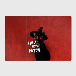 Магнитный плакат 3Х2 I am witch