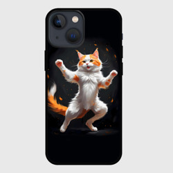 Чехол для iPhone 13 mini Дерущийся бело-рыжий кот
