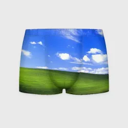 Мужские трусы 3D Знакомый пейзаж безмятежности