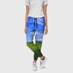 Знакомый пейзаж безмятежности – Женские брюки 3D с принтом купить