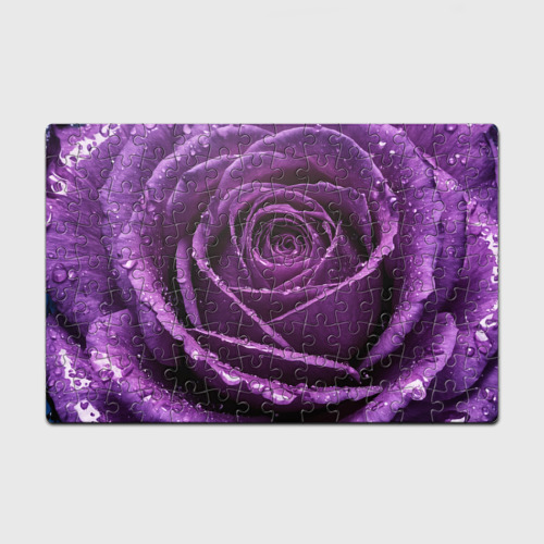 Головоломка Пазл магнитный 126 элементов с принтом Фиолетовая роза в каплях воды, вид спереди №1