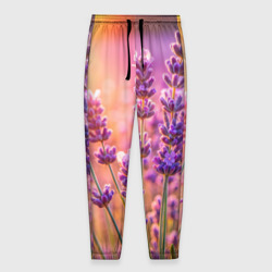 Мужские брюки 3D Лаванда в цвету  на закате летним вечером