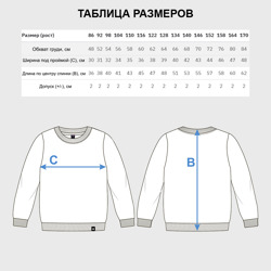 Свитшот с принтом 39 - Калининградская область для ребенка, вид на модели спереди №5. Цвет основы: белый