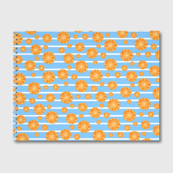 Дольки апельсинов - голубы полосы – Альбом для рисования с принтом купить со скидкой в -45%