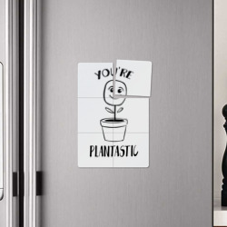 Плакат с принтом YOU'RE PLANTASTIC для любого человека, вид спереди №4. Цвет основы: белый