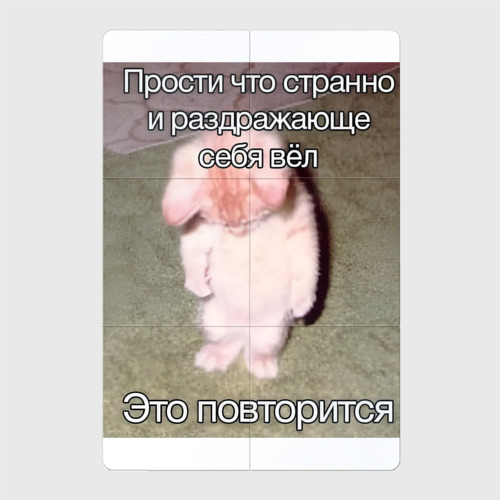 Магнитный плакат 2x3 с принтом Котик плохо себя вёл мем, вид спереди №1