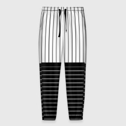 Мужские брюки 3D Полосатый чёрно-белый