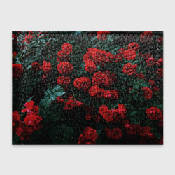 Красные розы с изумрудными листьями – Обложка для студенческого билета с принтом купить со скидкой в -20%
