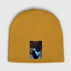 Женская шапка демисезонная Бездомный бог кот Ято