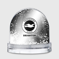 Brighton sport на светлом фоне – Игрушка Снежный шар с принтом купить со скидкой в -20%