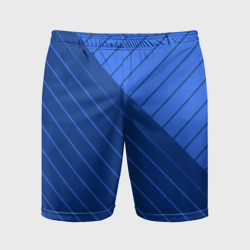 Сине-голубой косые полосы – Мужские шорты спортивные с принтом купить