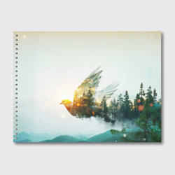 Летящий голубь и лес эффект двойной экспозиции – Альбом для рисования с принтом купить со скидкой в -45%