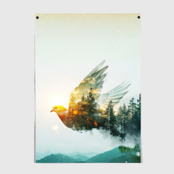 Летящий голубь и лес эффект двойной экспозиции – Постер с принтом купить