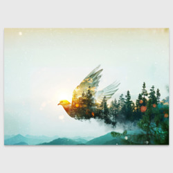 Летящий голубь и лес эффект двойной экспозиции – Поздравительная открытка с принтом купить