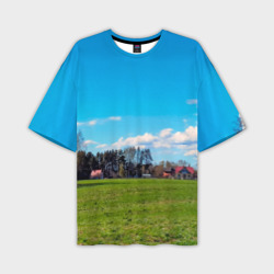 Пригородный пейзаж – Мужская футболка oversize 3D с принтом купить со скидкой в -50%