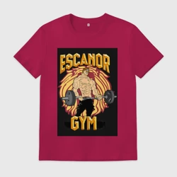 Мужская футболка хлопок Эсканор грех гордыни gym