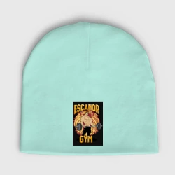 Мужская шапка демисезонная Эсканор грех гордыни gym