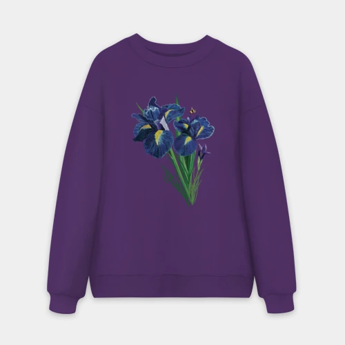 Мужской свитшот oversize без начеса хлопок Ирисы и шмель
