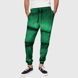 Зеленая джинса – Мужские брюки 3D с принтом купить