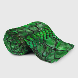 Плед с принтом Зеленая змеиная кожа для любого человека, вид спереди №2. Цвет основы: 3d (велсофт)