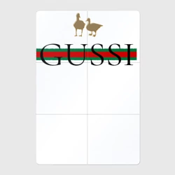 Магнитный плакат 2Х3 Гусси - полосы