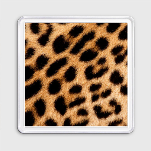 Магнит 55*55 с принтом Настоящая шкура леопарда, вид спереди №1