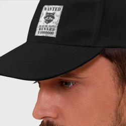 Бейсболка Разыскивается енот