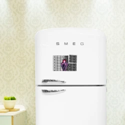 Магнитный плакат 3Х2 Wuthering Waves - Иньлинь - фото 2