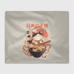 Плед 3D Ramen and the cat