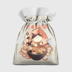 Подарочный 3D мешок Ramen and the cat