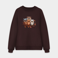 Мужской свитшот oversize без начеса хлопок Четыре совы на ветке