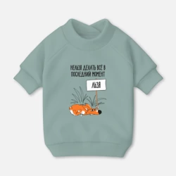 Свитшот для собак хлопок Хитрый ленивый лисёнок  