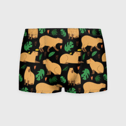 Мужские трусы 3D Капибары и папоротники