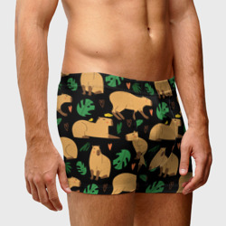 Мужские трусы 3D Капибары и папоротники - фото 2