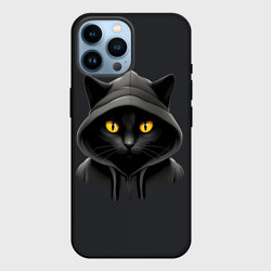 Чехол для iPhone 14 Pro Max Кот-хакер в капюшоне