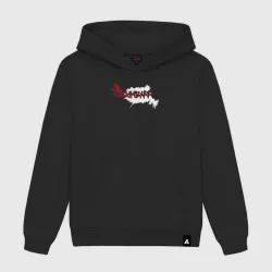 Мужская толстовка хлопок Gimbarr wings